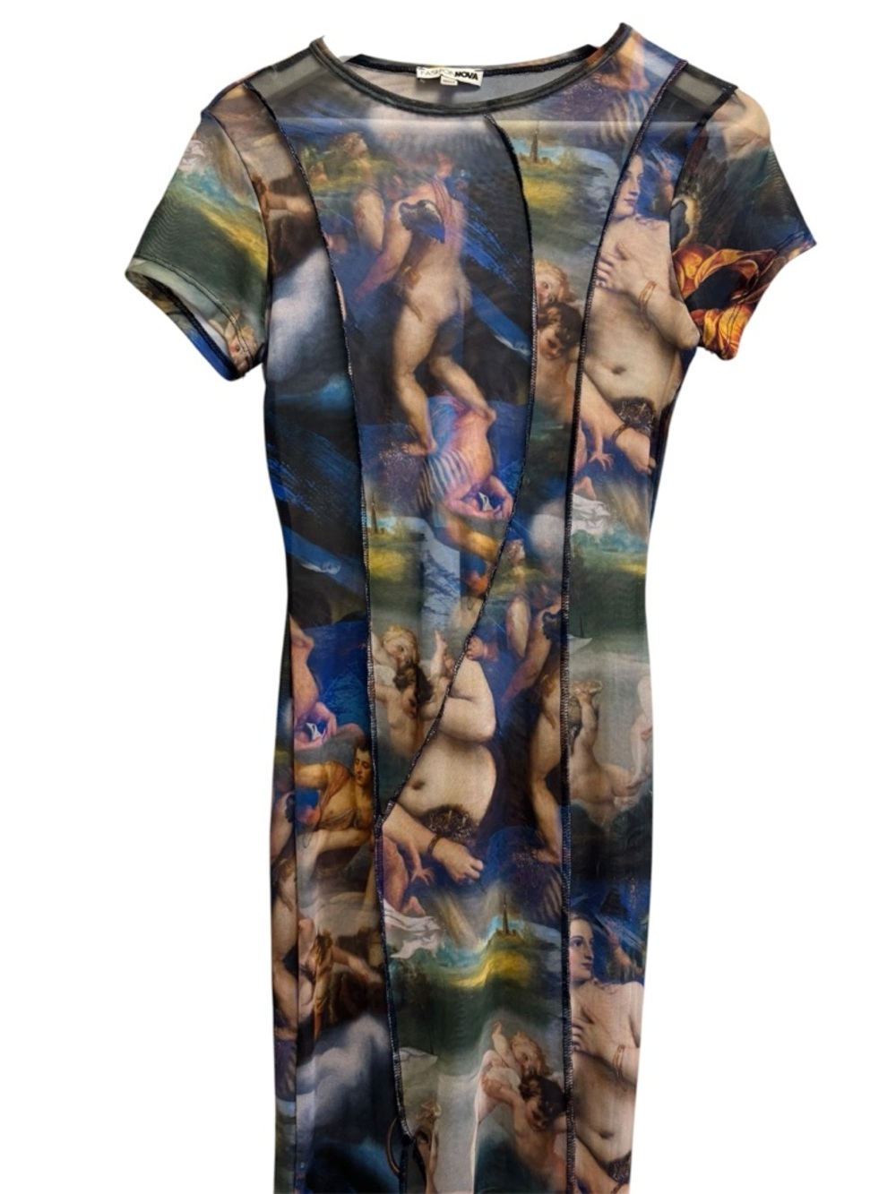Fashion Nova Renaissance art mesh maxi dress 🎨 - Picture 6 of 6